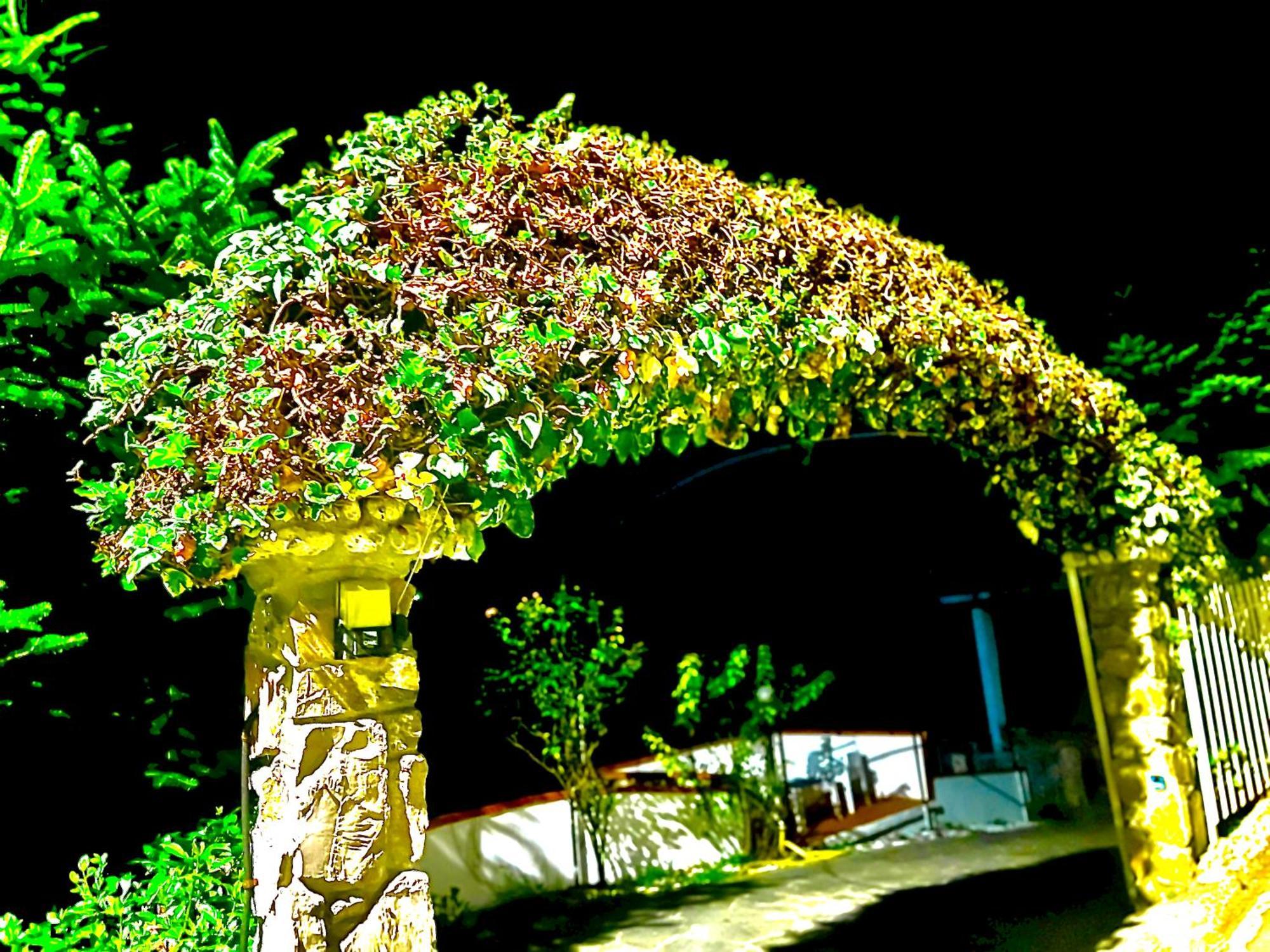 Casa Vacanza Paola Aurigo Exteriör bild